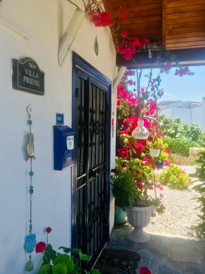 Villa Priene - Gumusluk Private Pool エクステリア 写真