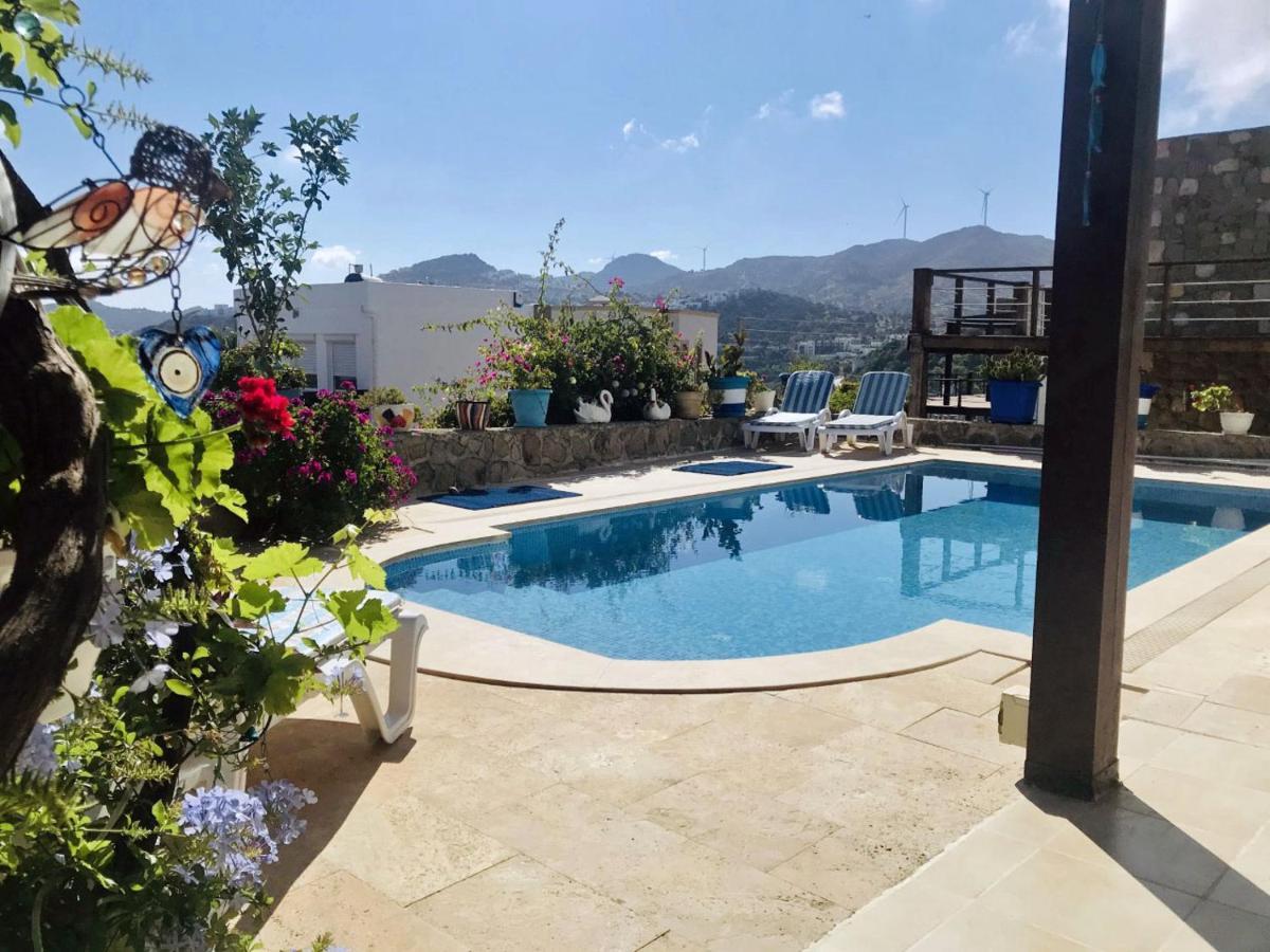Villa Priene - Gumusluk Private Pool エクステリア 写真
