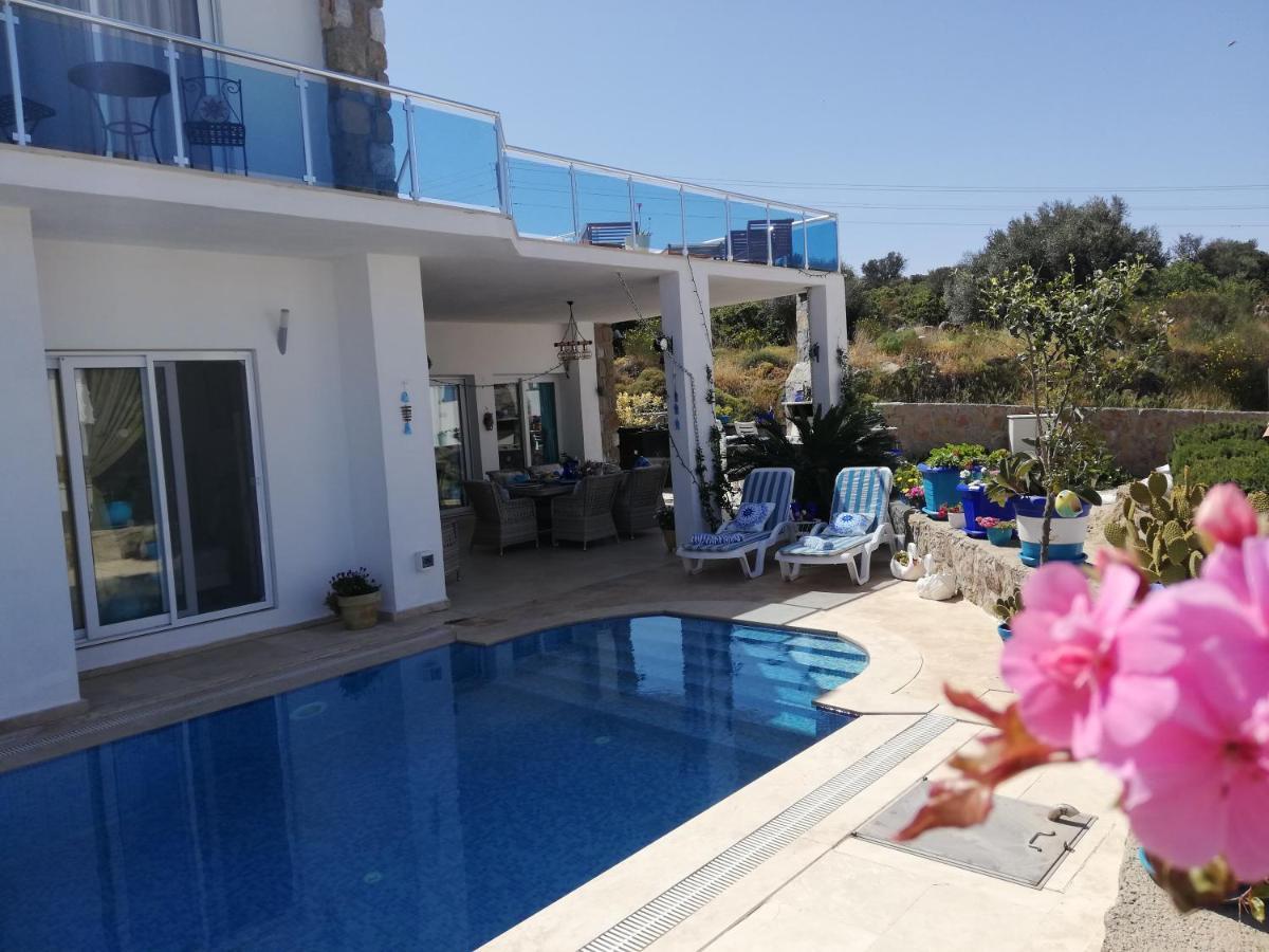 Villa Priene - Gumusluk Private Pool エクステリア 写真